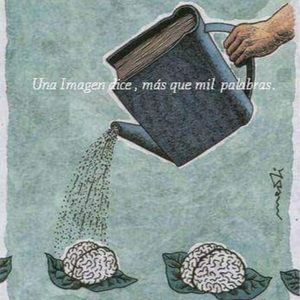 Meet your Posher, Rebe